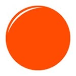 Point Moldova / Новости Молдовы