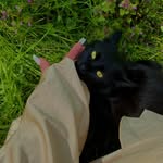 🐝Ӎøռå Ԓüѯå🎨