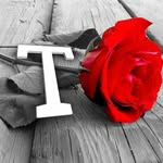 🇹🇷 TANER TÜRK 🐺