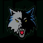 Minnesota Timberwolves