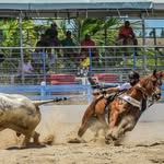 Jorge Apolônio Amaral