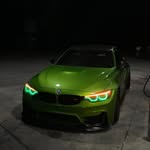 SELL YOUR CATS, DM FOR QUOTE!