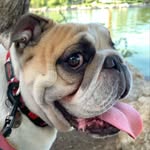 ⠀ ⠀ ⠀ ⠀ ⠀      ⠀ ⠀ ⠀ ⠀⠀ ⠀ TᕼOᖇ