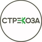 Стрекоза|Опт и Розница|Иркутск