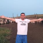 Магазин оригинальных кроссовок