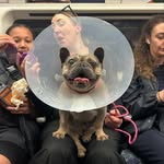 Thomasin Harcourt McKenzie