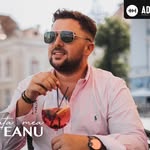 Fane Banateanu