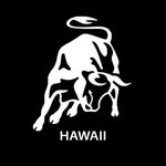 Lamborghini Hawaii