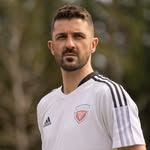 David Villa