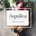 Aquilea Flores