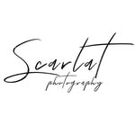 Denis Scarlat