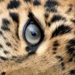 𝓩𝓮𝔂𝓷𝓮𝓫.ꇘ