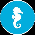 Fanconi Riviera Beach Club
