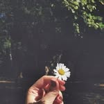 𝓓𝓪𝓻𝔂𝓪 𝓢𝓹𝓲𝓻𝓲𝓭𝓸𝓷𝓸𝓿𝓪 💞