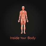 Inside Human Body/Medical