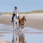 Kira, Fabi und die Pferde 🐎❤