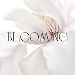 Blooming-fresh flowers & gifts