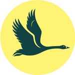 WWT London Wetland Centre