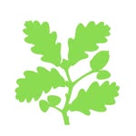 National Trust South East team
