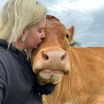 Simone Dawson 🐮