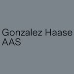 AAS GONZALEZ HAASE