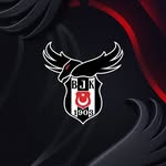 Beşiktaş Esports