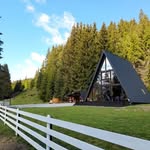 Chalet Green Velvet & Cub