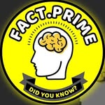 FACTS & KNOWLEDGE 250K🔓 300K🔒