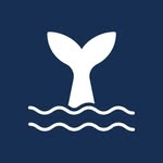 Whales Nation