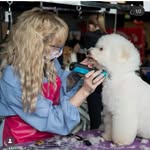 Lauren JadeB | Pet Expert 🐩