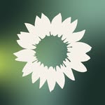 Bündnis 90/Die Grünen BW