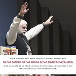 Fundația Cireșarii