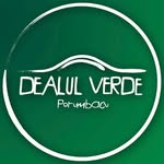 Pensiunea Dealul Verde