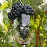 GOGUWinery