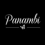 Panambi