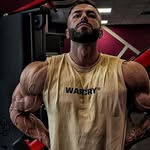Dan Negru