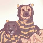 bambino 🐕 & 🐕‍🦺 rogerinho