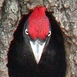 Новости из дурки😵‍💫