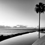 L a u r a  V e c i n o