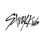 Stray Kids 스트레이 키즈/ fanpage