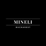 MINELI | Leather Shoes