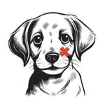 Homeless Animal Hospital