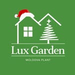 PLANTE PENTRU GRĂDINA TA 🌳🏡