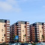 firicel si celentano