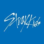 Stray Kids 스트레이 키즈/ fanpage