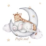Pleduțuri Jucarii moi Handmade