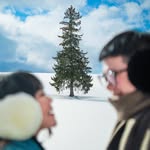 ANAKJAJAN (Julia & Marius)