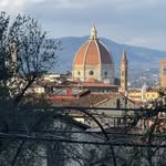 Florence 365 🇮🇹