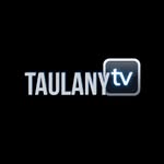 Taulany TV