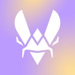 🐝 Team Vitality 🐝